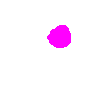 dot