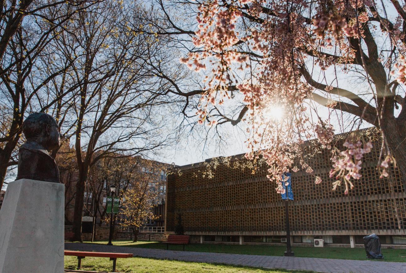 Campus shot of lehman college with sunlight