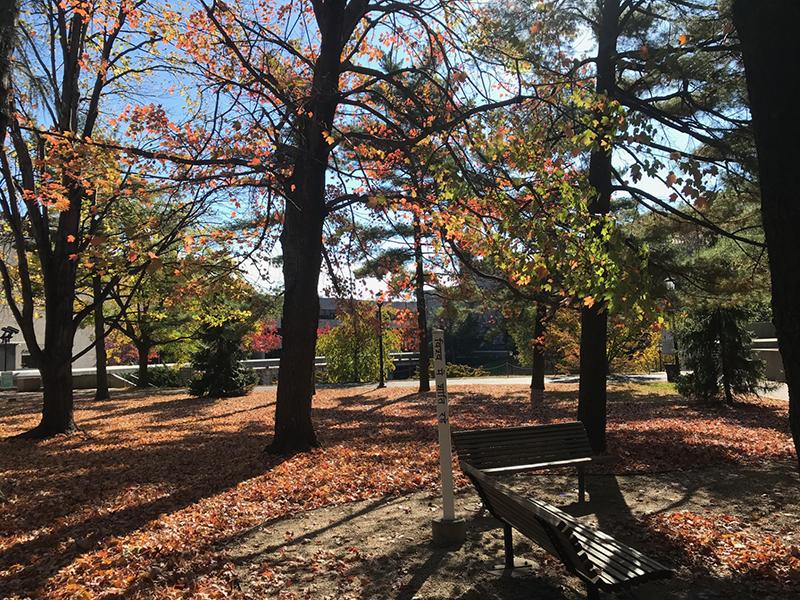 Is fall the most beautiful season at Lehman? (Photo by Andrew Lipton)