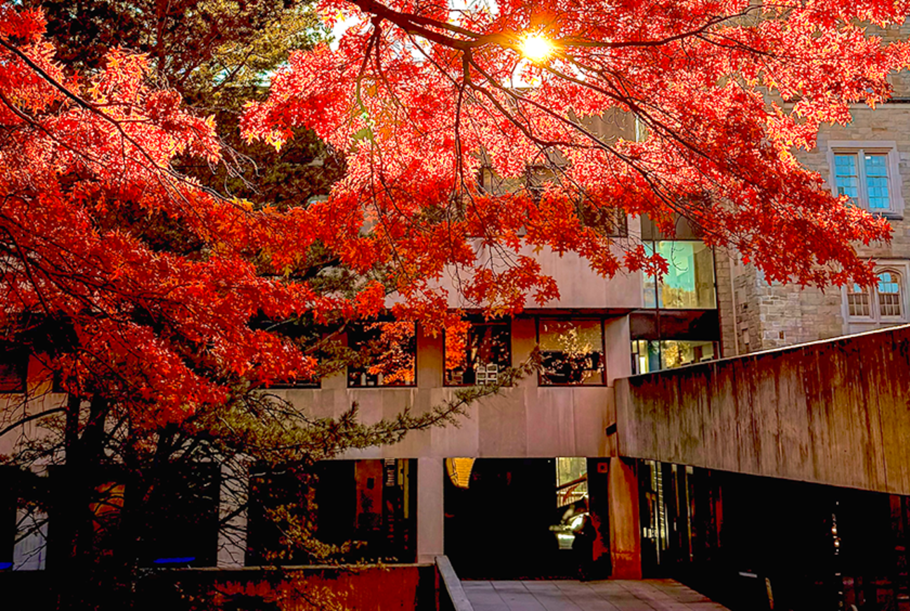 Alex Torres captured the colorful beauty of a serene autumn morning near the Underground Lounge cafeteria.