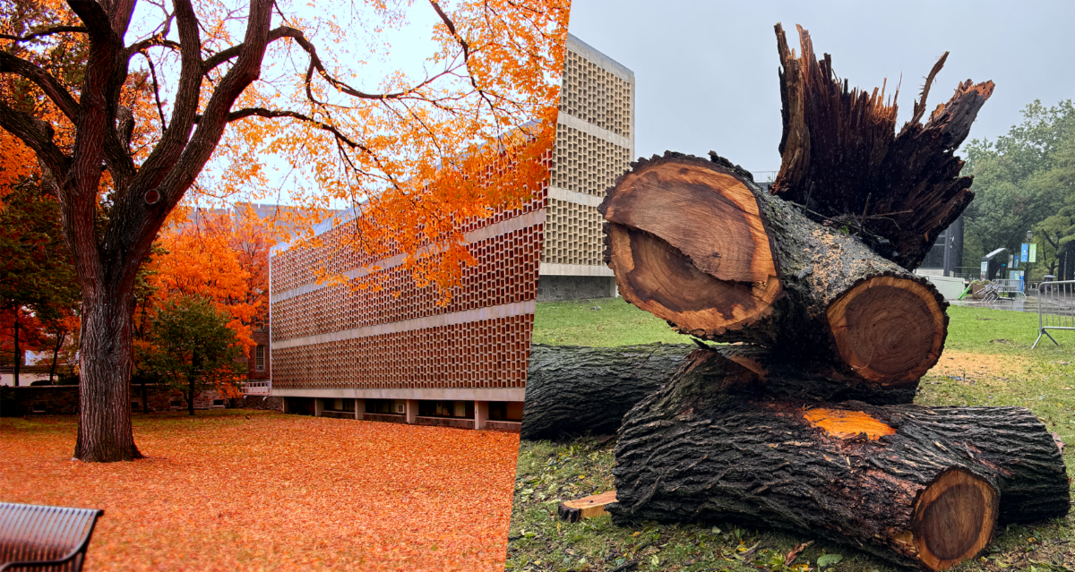 Lehman Weekly September 28-October 4: Nightmare With Elm Tree