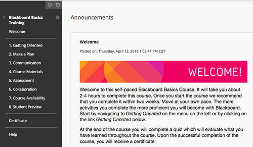 Blackboard Basics Training Course