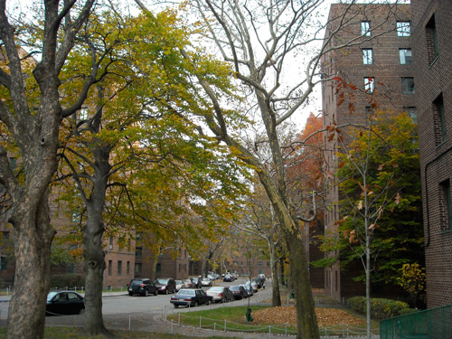 Parkchester Apartment Development Bound