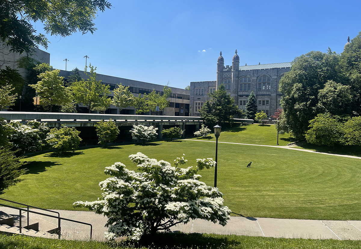 Photo of Lehman quad looking at Old Gym building