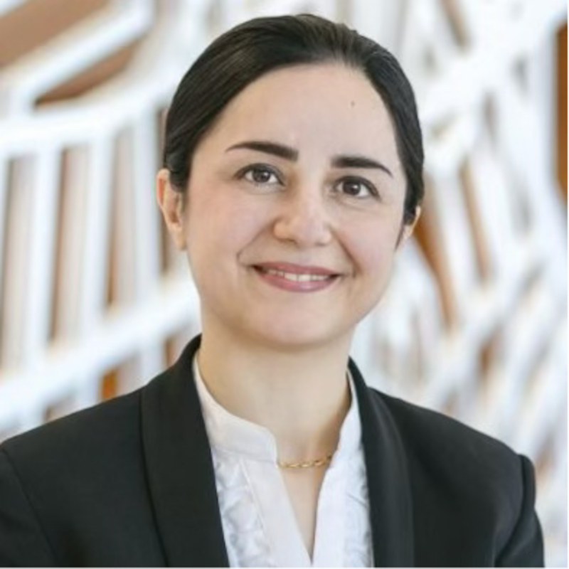 Mandana_Arabi