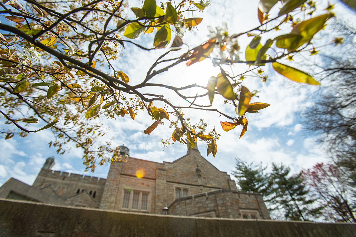 Student Affairs Emergency Grant